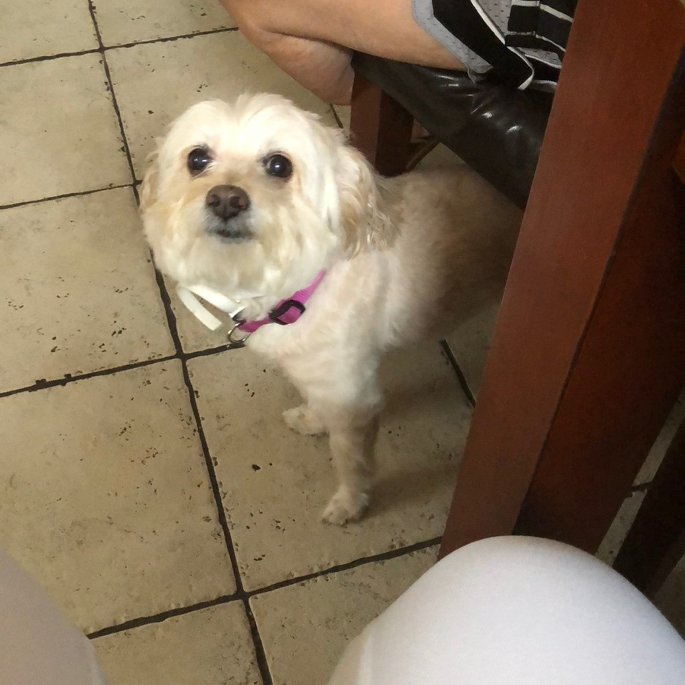 Meet your Posher, Sandra